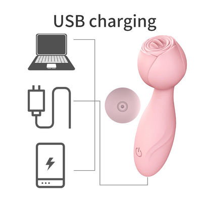 Εκτύπωση λογότυπου AV Wand Cordless Handheld 350g Γυναίκες Vibrator Massage Wand