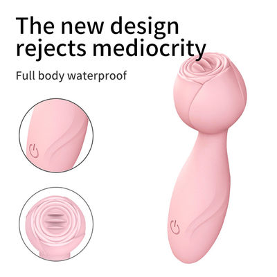 Εκτύπωση λογότυπου AV Wand Cordless Handheld 350g Γυναίκες Vibrator Massage Wand
